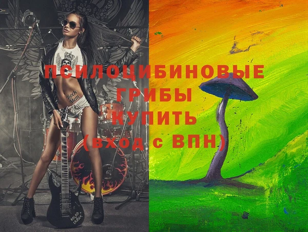 кокс Алексин