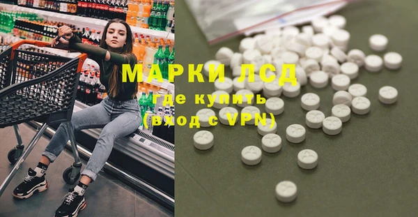 дмт Алзамай